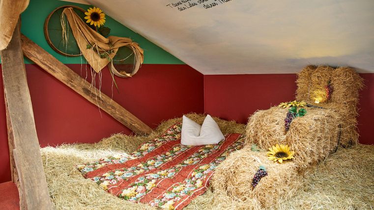 Une pièce confortable avec de la paille et une couverture. Des tournesols et des raisins donnent à l'endroit une atmosphère rurale.