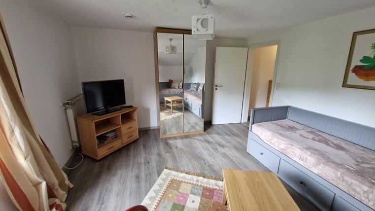 Une pièce confortable avec une télévision, un miroir et un canapé. Le sol est recouvert de stratifié et il y a une petite table ainsi qu'un tapis.