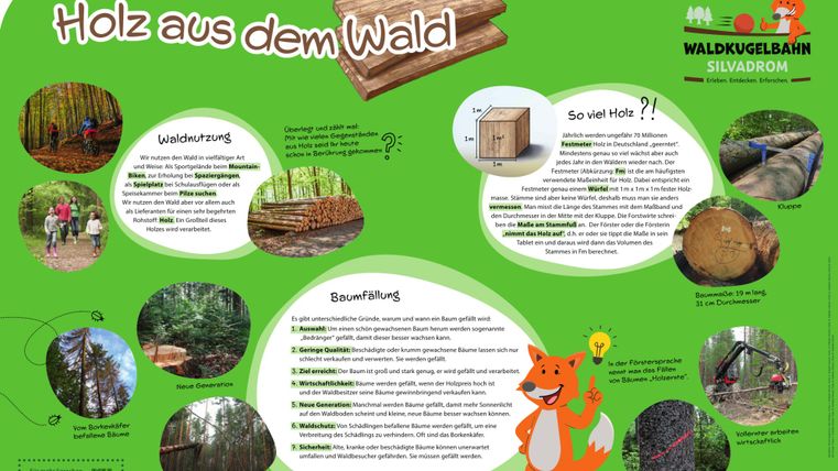 Großes Informationsschild "Holz aus dem Wald" mit Informationen zur Waldnutzung, Holz und Baumfällung.