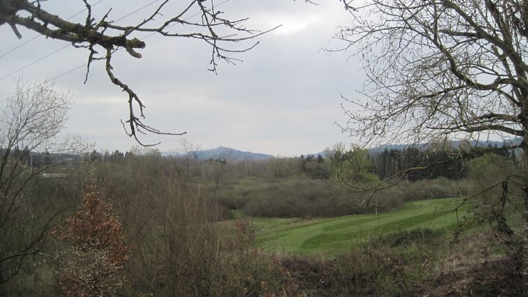 Landschaft mit Blick auf die Kasselburg, umgeben von Bäumen und Wiesen.