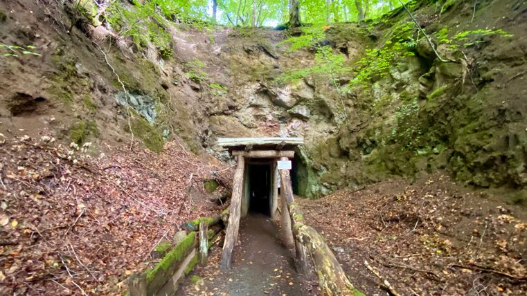 Ingang van een tunnel in de vulkanische steengroeve van Arensberg, omgeven door rotsen en bomen.