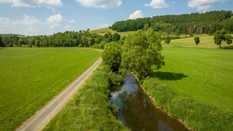 Landschaft mit Fluss, Feldweg und grünen Wiesen unter blauem Himmel.