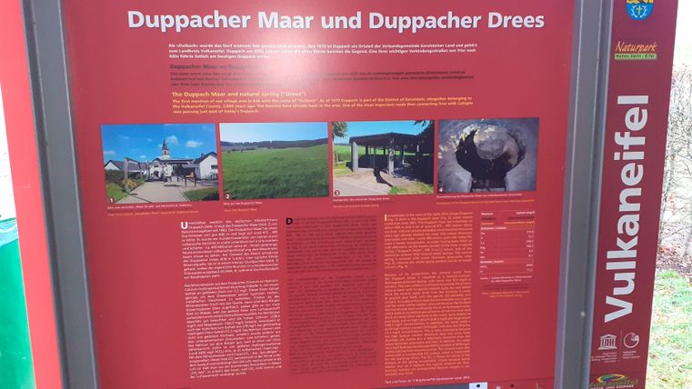 Rote Infotafel über Duppacher Maar und Duppacher Drees im Naturpark Vulkaneifel mit Bildern und Texten zur Region.