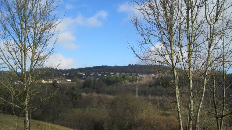 Landschaft mit kahlen Bäumen und Hügeln im Hintergrund unter blauem Himmel.