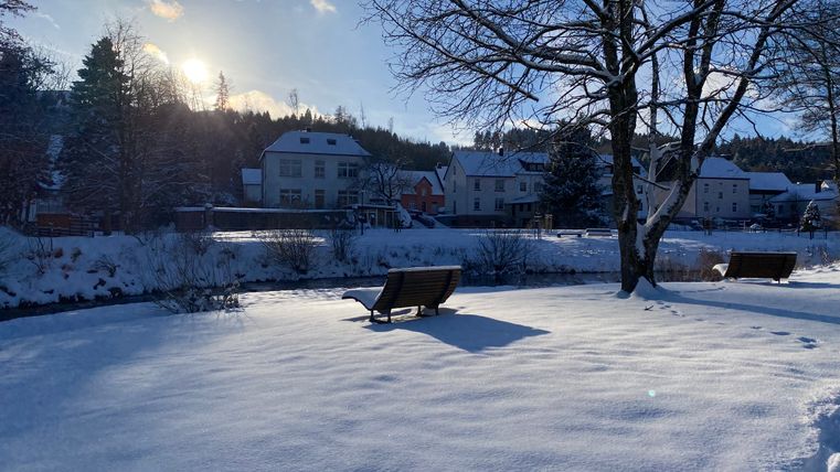 Mit Schnee bedeckte Parklandschaft mit Sitzbank, Bäumen und Häusern im Hintergrund.