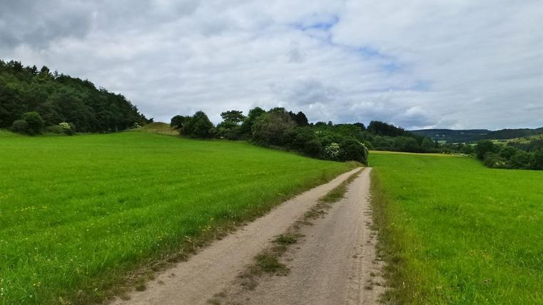 Ein schmaler Weg führt durch eine grüne Wiese unter einem bewölkten Himmel. Links und rechts des Weges sind Bäume und Sträucher zu sehen.