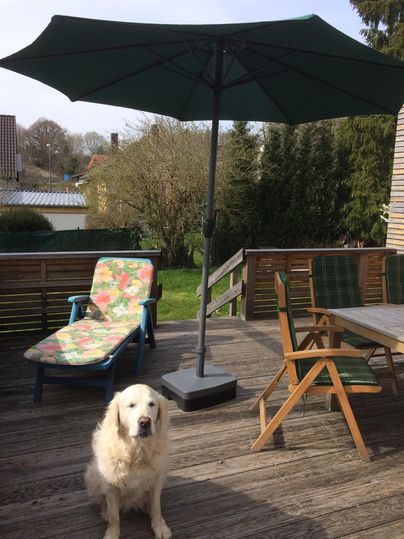 Ein Hund sitzt auf einer Terrasse mit einem Sonnenschirm. Die Terrasse ist mit Gartenmöbeln und einem schönen Blick auf die grünen Pflanzen ausgestattet.