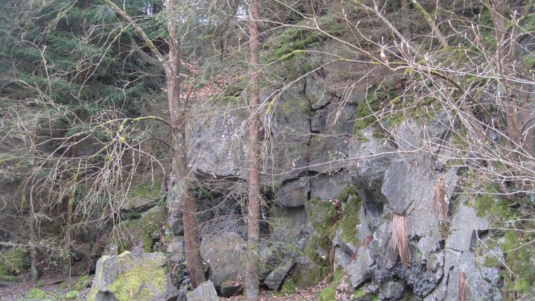 Felswand im Wald mit Bäumen und Moos bedeckt.
