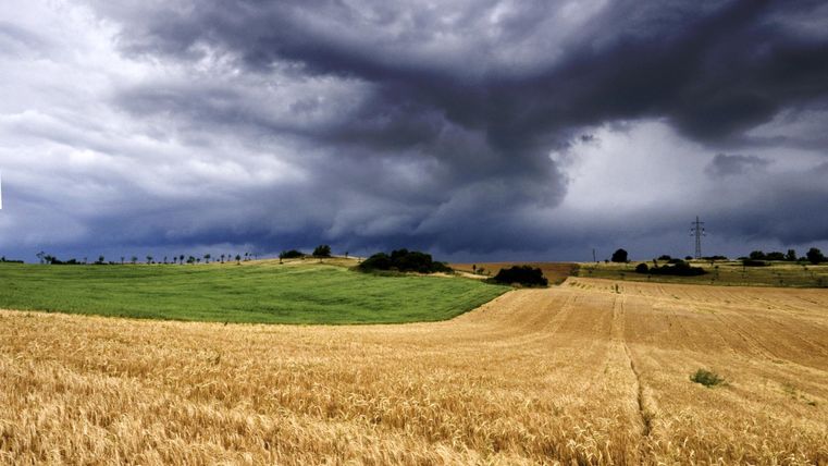 Dramatische Wolken über einem Feld mit Getreide und Wiesen.