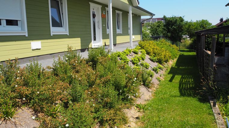 Ein hellgrünes Haus mit einem gepflegten Garten. Die Blumenbeete und der Rasen sind gut angelegt und laden zum Entspannen ein.