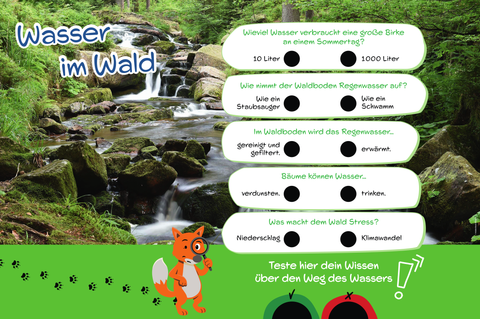 Informationsschild "Wasser im Wald" mit Quiz zum Wasserwissen durch einwurflöcher bei Entweder - Oder Fragen.