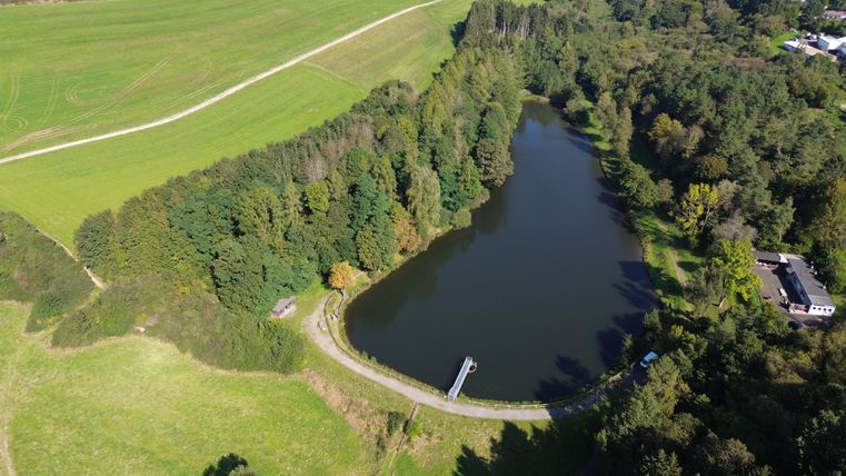 A calm lake surrounded by trees and meadow. The clear sky and green landscape create a peaceful atmosphere.