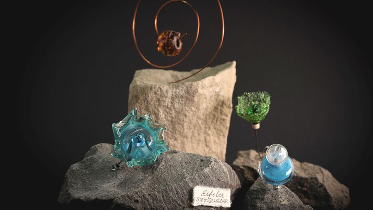 Unikate aus Glas in hellblau, grün und rotbraun, welche Eifeler Steingewächse darstellen.