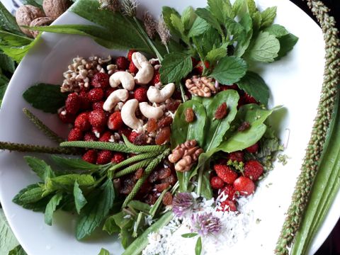 A colorful bowl with fresh herbs, strawberries, and nuts. The mixture looks healthy and appealing.