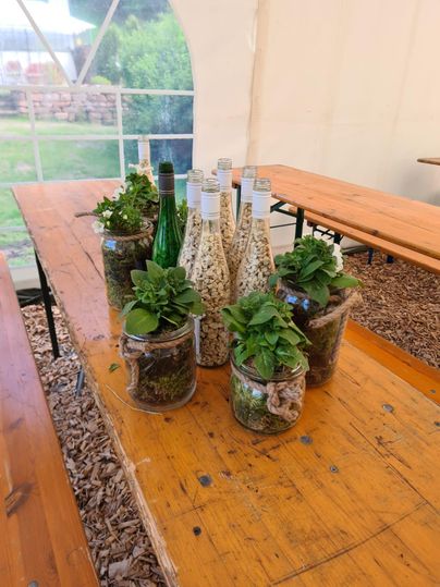 Un groupe de verre décoratif et de bouteilles avec des plantes et des matériaux naturels est posé sur une table en bois. À l'arrière-plan, on peut voir un auvent de tente et une pelouse verte.