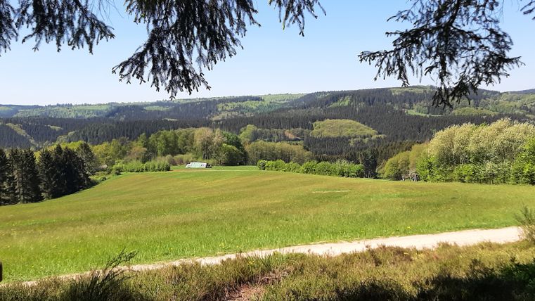 Blick auf eine grüne Wiese mit Wald im Hintergrund unter blauem Himmel.