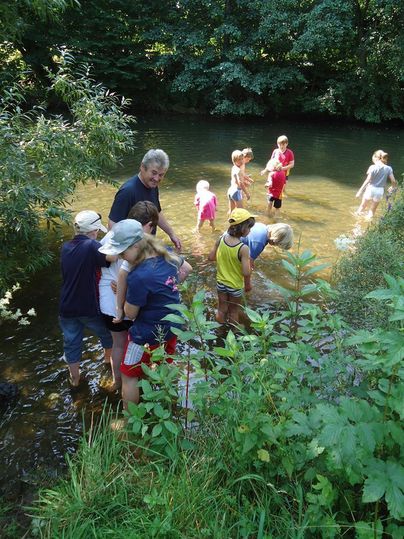 <p>Eine Kindergruppe plantscht in einem flachen Bereich eines Flusses umgeben von Bäumen und Sträuchern.</p>