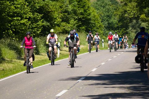 Eine Gruppe von Radfahrern fährt auf einer Landstraße. Die Umgebung ist grün und von Bäumen umgeben.