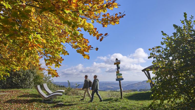 Deux personnes se promènent sur un sentier de randonnée dans un paysage pittoresque. Les arbres affichent des couleurs éclatantes d'automne et, en arrière-plan, on peut voir des collines douces.