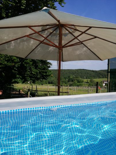 Een zwembad met helder water onder een parasol. Op de achtergrond zijn groene weilanden en bomen te zien.