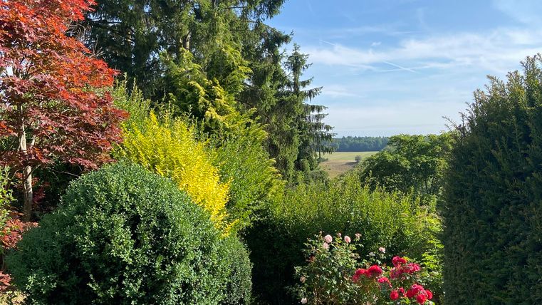 Ein schöner Garten mit bunten Blumen und grünen Sträuchern. Im Hintergrund ist eine weite Landschaft unter einem klaren blauen Himmel zu sehen.