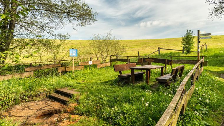 Picknickplatz mit Holztisch und Bänken auf grüner Wiese, umgeben von Holzzaun. Im Hintergrund ein Feld und bewölkter Himmel.