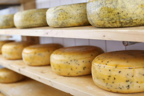 Mehrere Käse liegen auf Brettern in einem Schrank - der Käse ist leicht gepunktet
