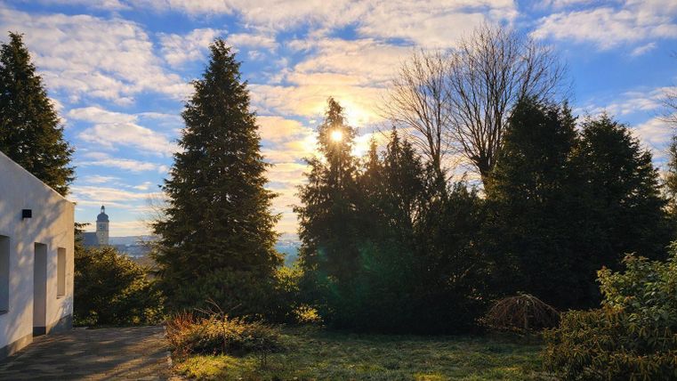 Un paysage pittoresque avec de grands arbres et des collines douces. Le soleil brille à travers les cimes des arbres et crée une atmosphère apaisante.