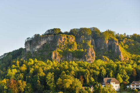 Die enorme Felsformation der Gerolsteiner Dolomiten thront über Gerolstein. Die Felsen sind von allen Seiten mit Bäumen bewachsen.