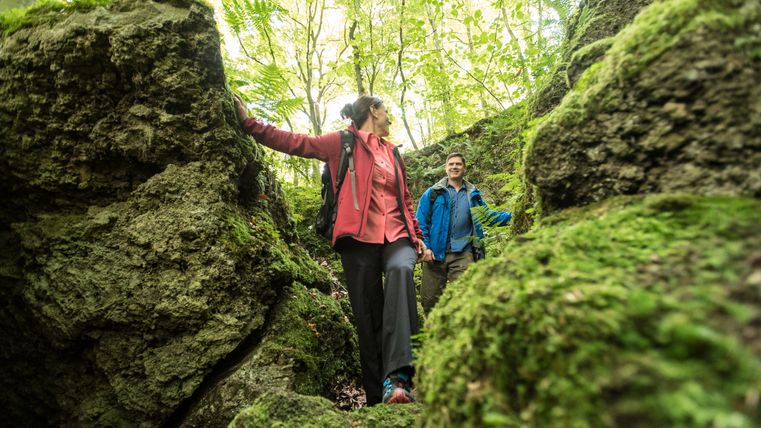 Zwei Wanderer auf einem moosbewachsenen Pfad in einem Wald.