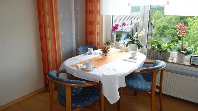 A cozy dining area with a round table and blue chairs. On the table are plants and dishes, and the windows offer a view of greenery.