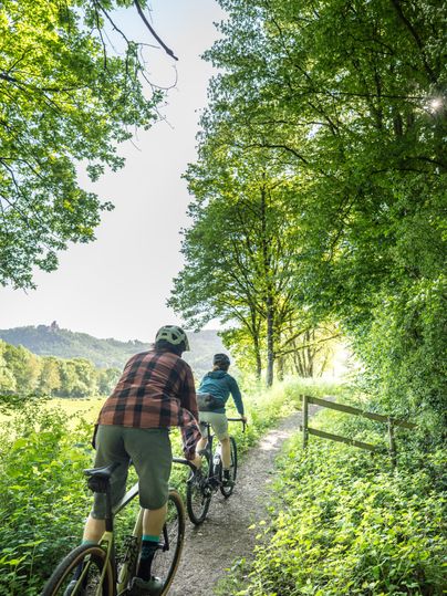 Zwei Radfahren auf Gravelbikes fahren auf einem schmalen Pfad neben einem dichten Laubwald und weiten Wiesen her.