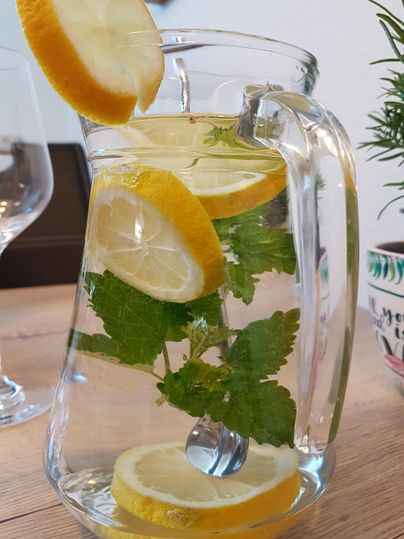 Ein klarer Krug mit Wasser, Zitronenscheiben und frischen Minzblättern. Die Zutaten sorgen für ein erfrischendes Getränk.