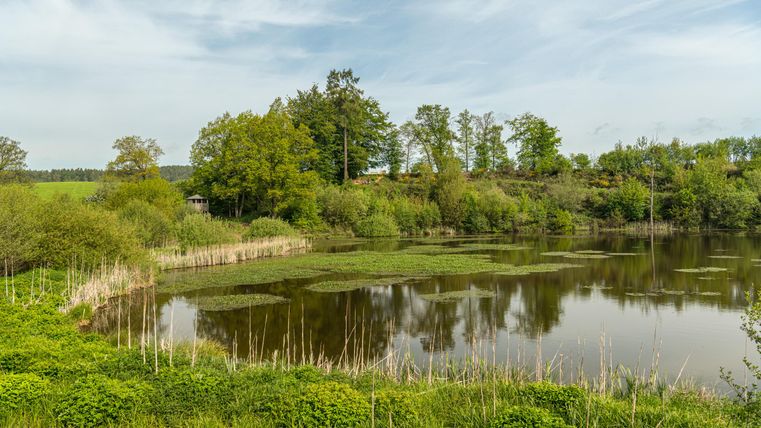 Der Maarsee des Eichholzmaares umgeben von Wiesen, Bäumen und Sträuchern unter strahlend blauem Himmer mit vereinzelten Wolken.