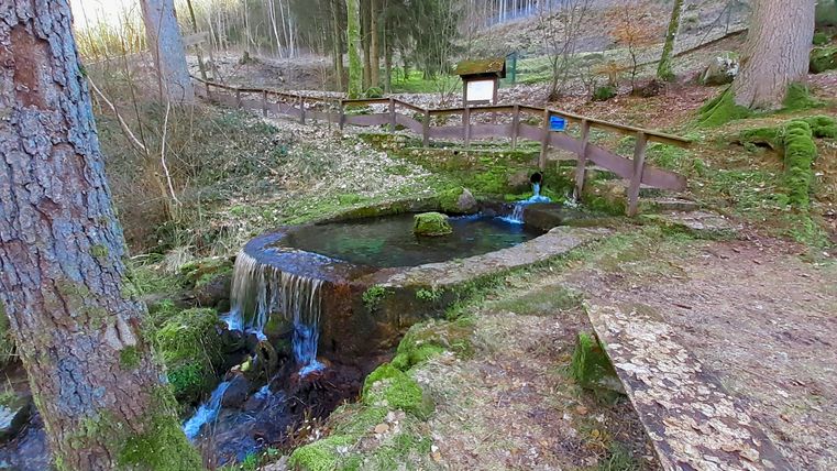 Source Müllenborn dans une forêt avec de l'eau courante et des arbres environnants.