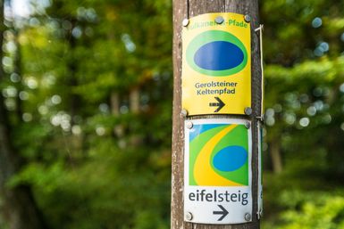 Schilder der Wanderwege Eifelsteig und Gerolsteiner Keltenpfad an einem Holzpfahl im Wald angebracht