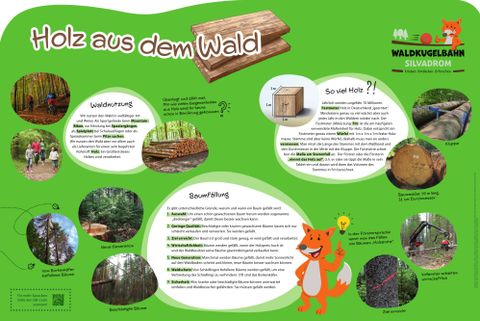 Großes Informationsschild "Holz aus dem Wald" mit Informationen zur Waldnutzung, Holz und Baumfällung.