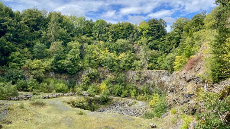 Uitzicht op een groene steengroeve met bomen en rotsen.