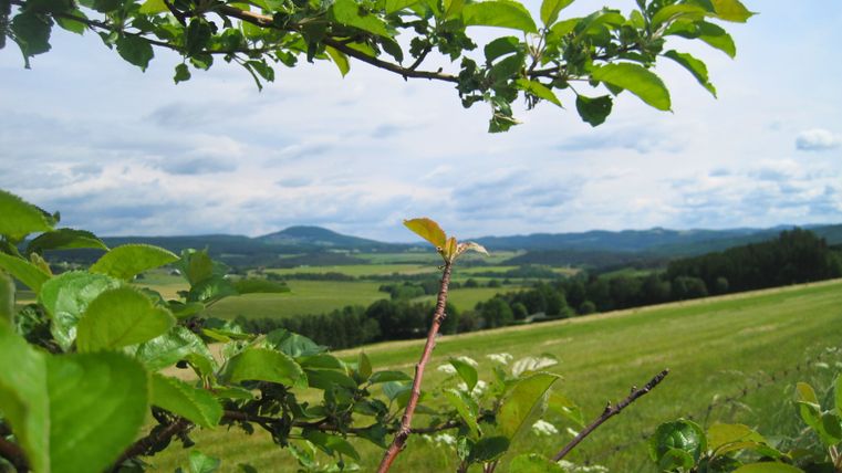 Landschaft mit grünen Feldern und Hügeln im Hintergrund, umrahmt von Zweigen und Blättern im Vordergrund.