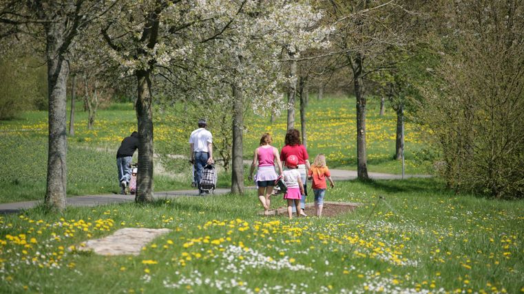 Zwei Erwachsene und zwei Kinder auf dem Rindenmulchabschnitt des Barfußpfades, Wiese mit blühenden Blumen.