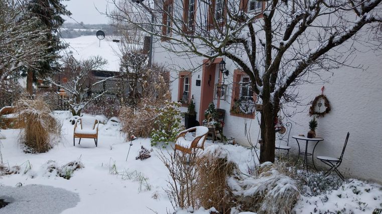 Een besneeuwde tuin voor een huis met kleurrijke ramen. De bomen en planten zijn bedekt met sneeuw, en er zijn zitmogelijkheden buiten.