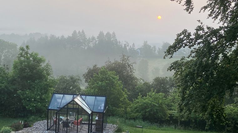 Ein Gewächshaus steht in einem grünen Garten, umgeben von Bäumen. Im Hintergrund ist die Sonne im Nebel sichtbar.