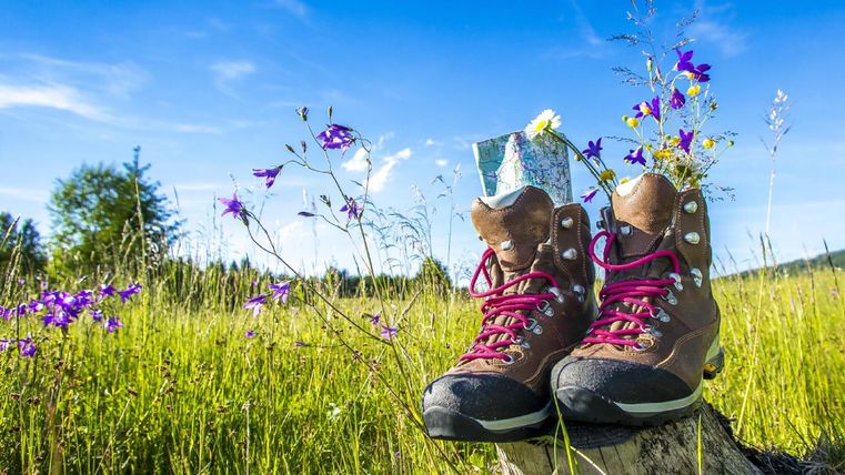 Zwei Wanderschuhe stehen auf einem Baumstumpf in einer blühenden Wiese. Der Himmel ist klar und blau, umgeben von bunten Blumen.