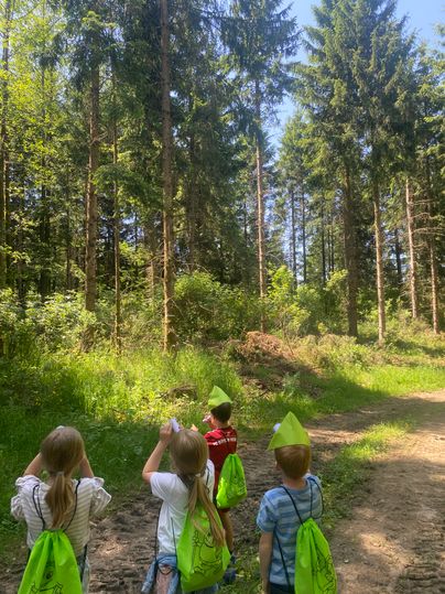 Vier Kinder mit grünen Rucksäcken gehen auf einem Waldweg spazieren.