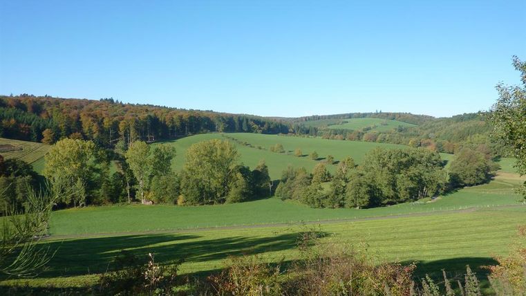 Een schilderachtig landschap met groene weiden en zachte heuvels. In de achtergrond zijn bomen en een heldere blauwe lucht te zien.