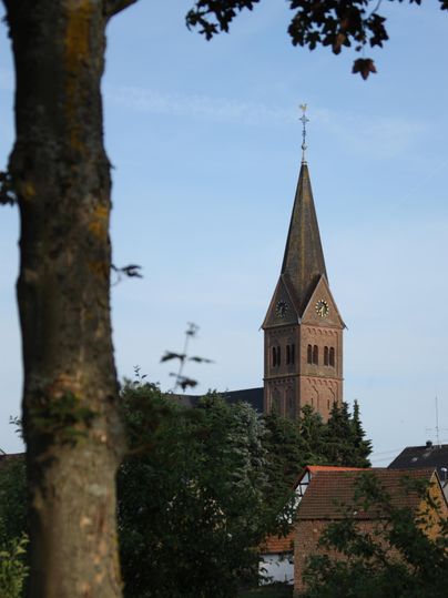 Ein Kirchturm mit Uhr und Wetterhahn ragt hinter Bäumen und Häusern hervor, bei klarem Himmel.