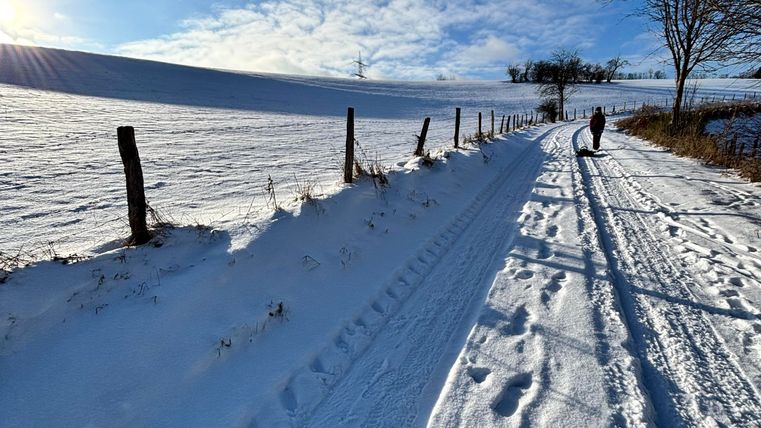 Ein verschneiter Weg mit Pfotenabdrücken und langen Schatten. Im Hintergrund sind Bäume und ein blauer Himmel zu sehen.