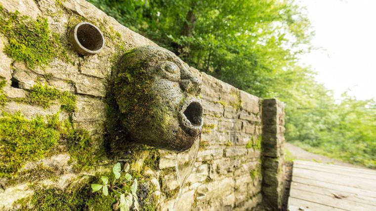 Steinmaske mit Wasserstrahl an einer moosbewachsenen Mauer im Wald.