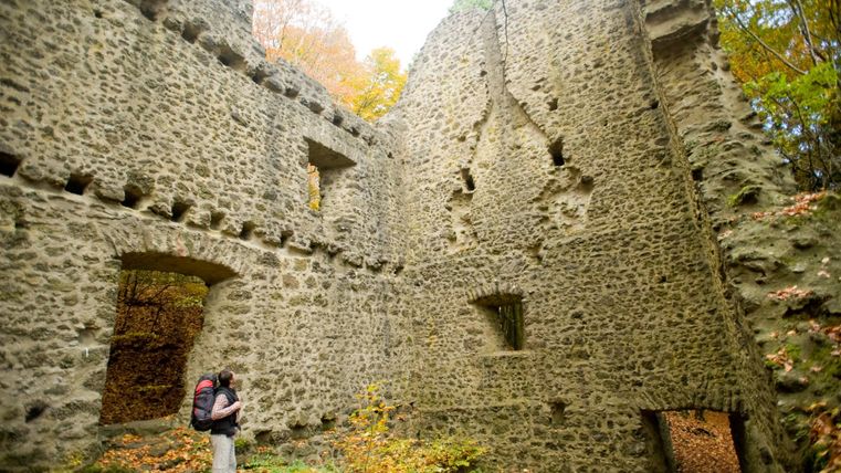 Un randonneur se tient devant les ruines d'un vieux mur de pierre dans la forêt.