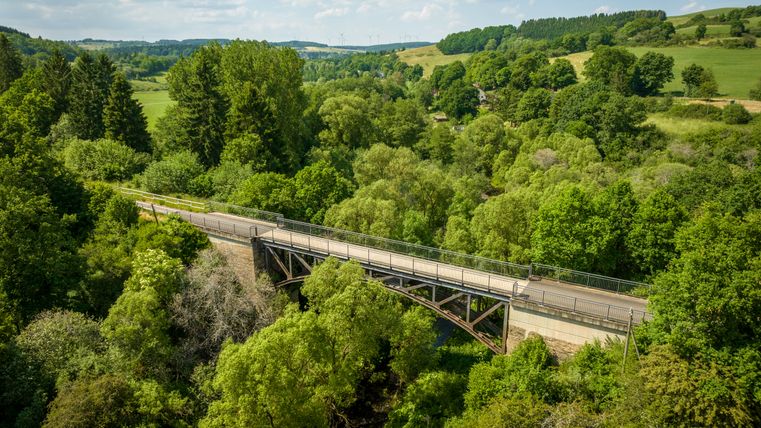 Eine hohe Brücke spannt sich zwischen grünen Bäumen vor blauem Himmel